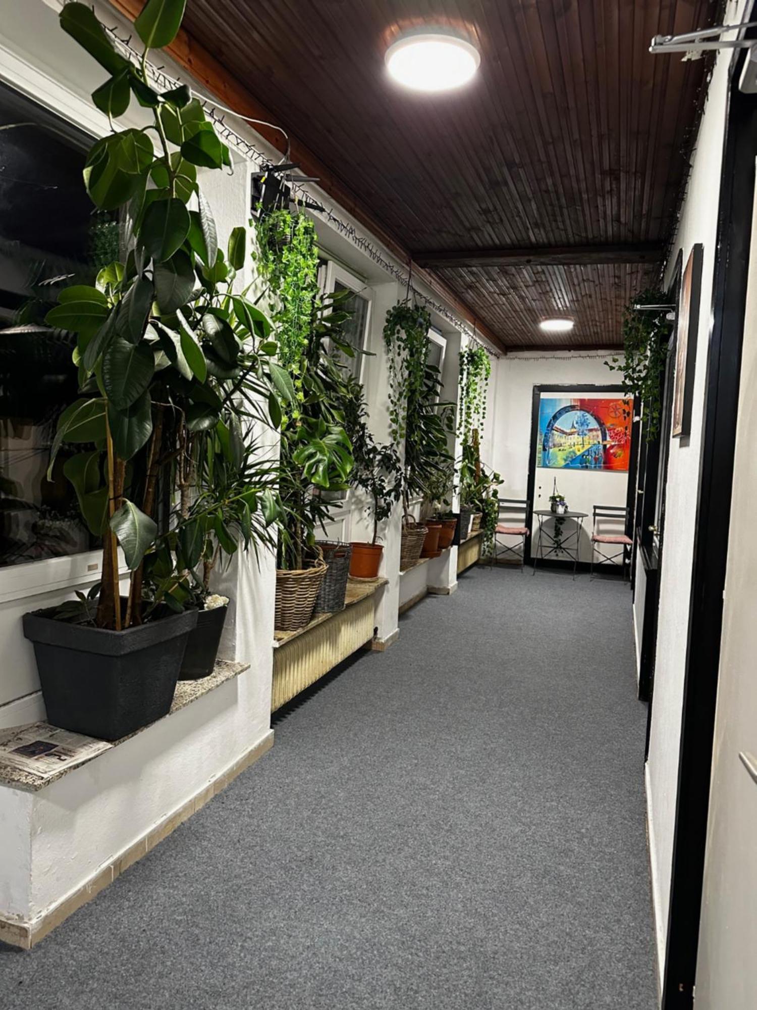 Hostel Lovely Rooms, City Center, Shared Bathroom, Windows To Corridor Villach Luaran gambar