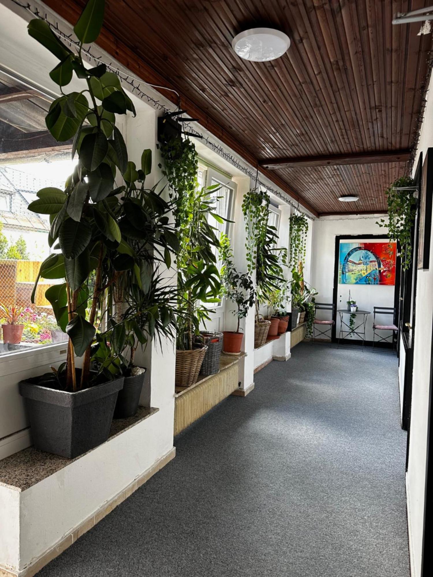 Hostel Lovely Rooms, City Center, Shared Bathroom, Windows To Corridor Villach Luaran gambar